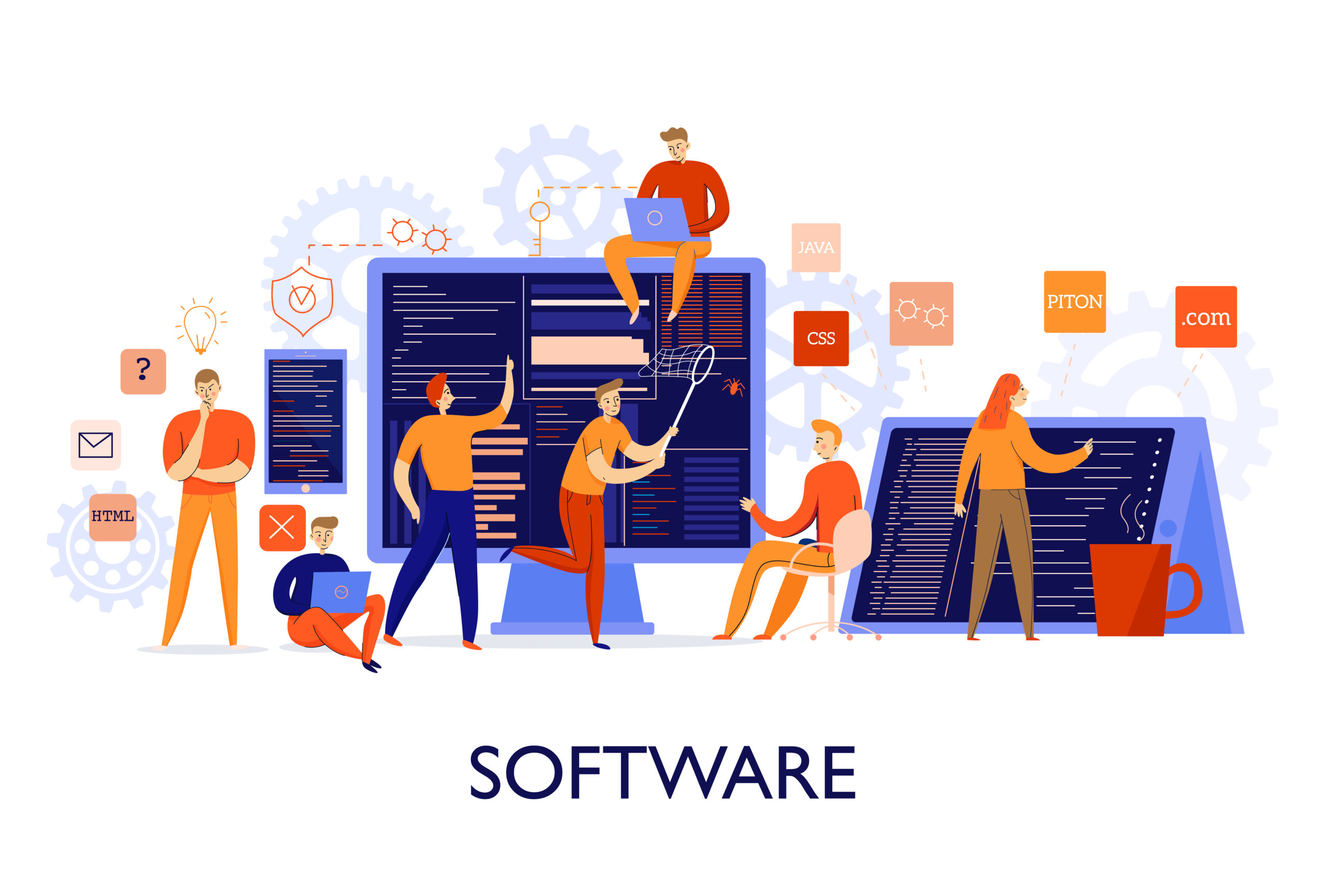 Custom Software Development