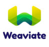 Best generative ai development services / AppsInAi Private Limited 21 Weaviate
